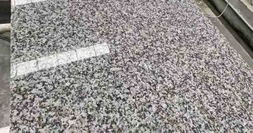 重庆 芙蓉白光面