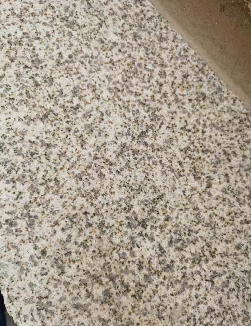 重庆 黄金麻中黄光面