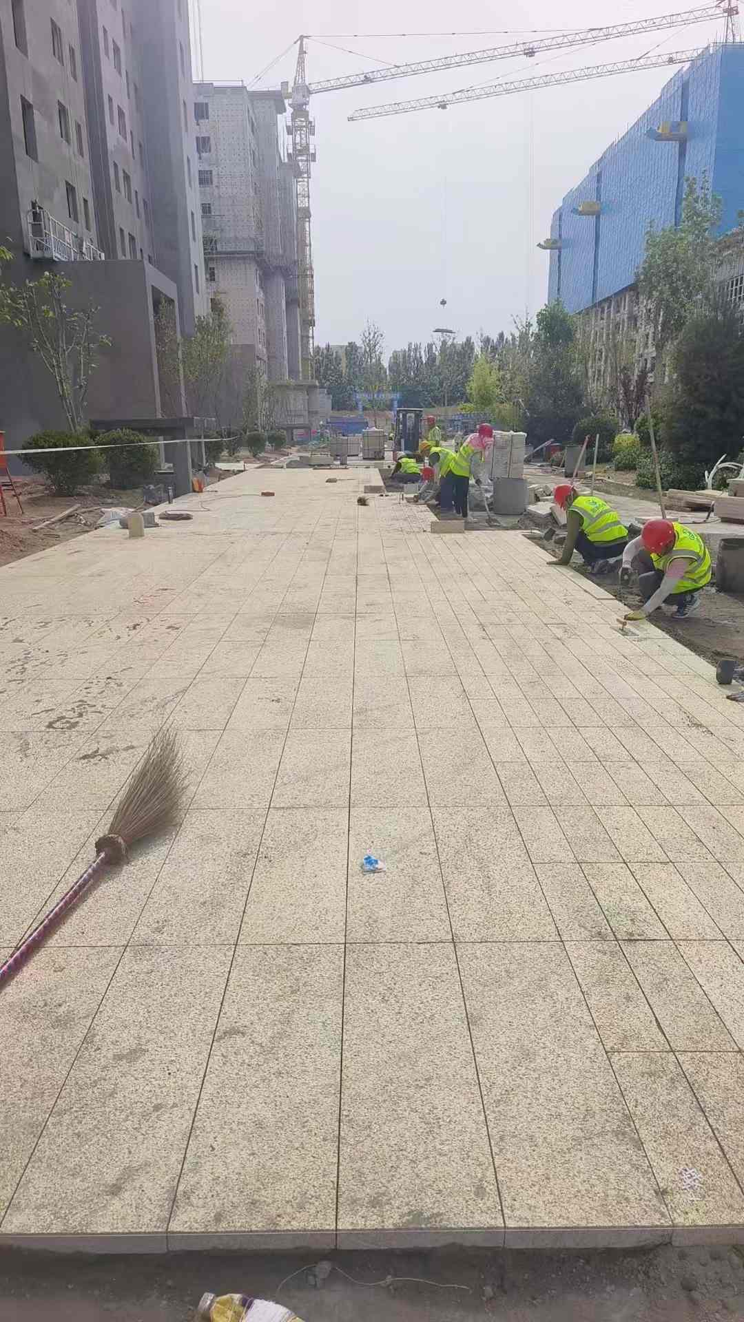 重庆黄金麻荔枝面地铺案例