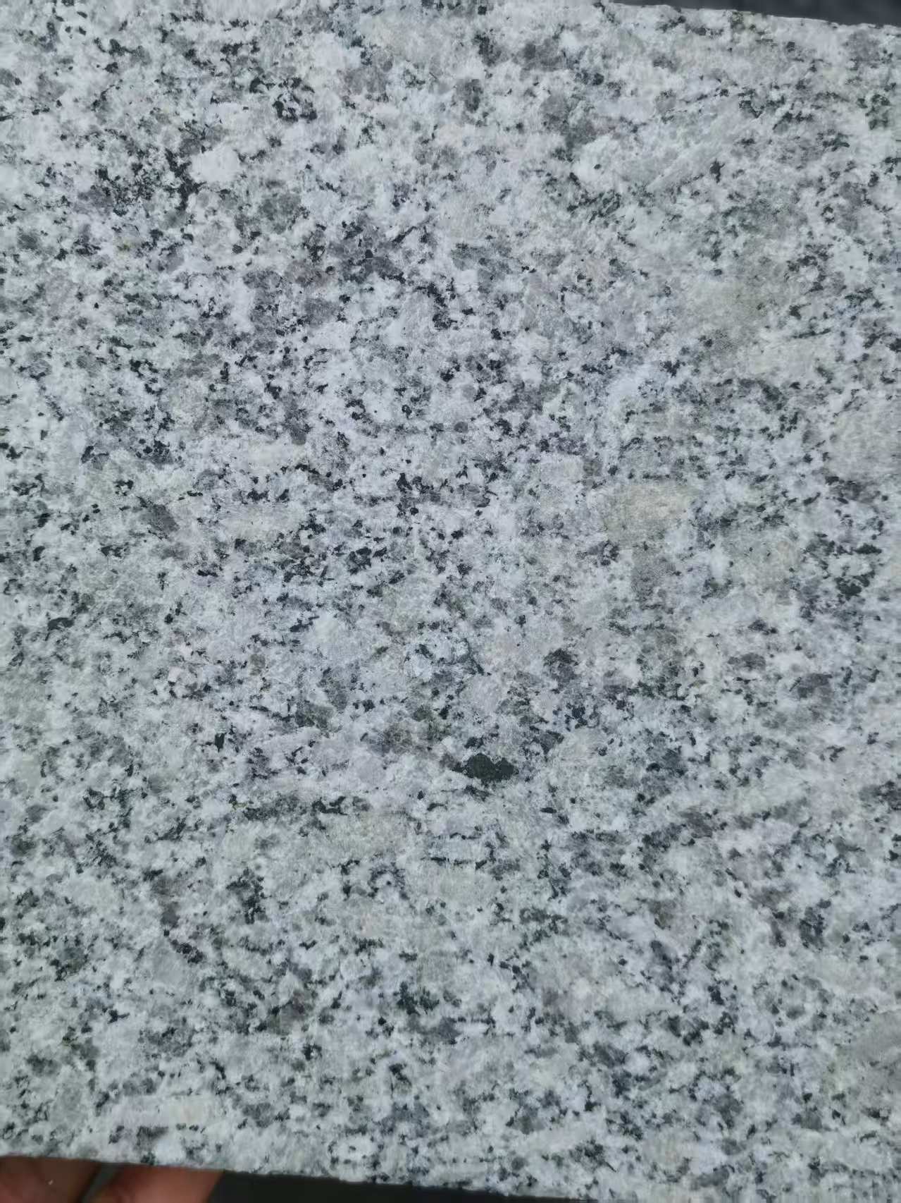 重庆 芙蓉白火烧面